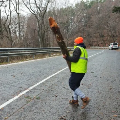 Бурен вятър създаде усложнения на територията на Старозагорска област днес