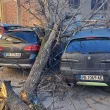 20 автомобила с щети след бурния вятър в Пловдив СНИМКИ