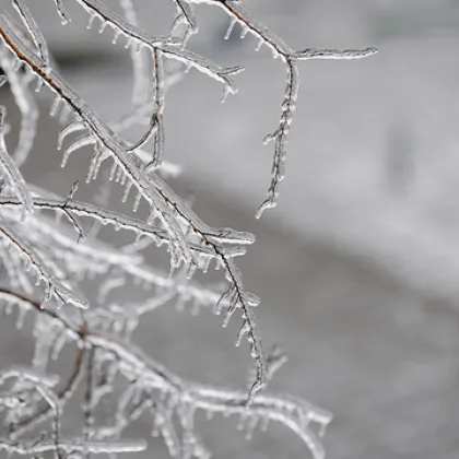 Ето какво ще бъде времето през януари 2026 г.