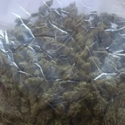 Иззеха 800 грама марихуана и 215 грама амфетамин от имот край Добрич СНИМКИ