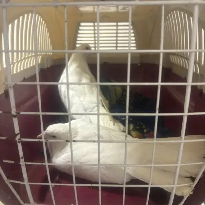 Случка която доказа че добрината е сред нас разчувства потребителите