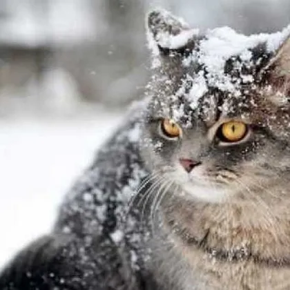 Студен въздух и ниски температури в последния ден от годината