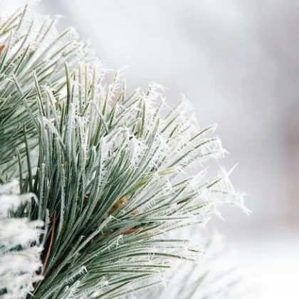 Януари идва със студ до - 18&deg;