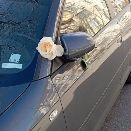 Една роза и много усмивки в навечерието на Нова година СНИМКИ