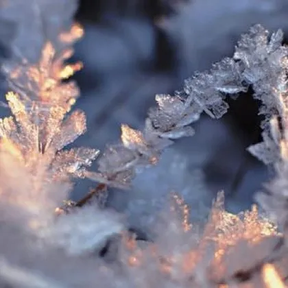 Ранните часове на 31 декември бяха особено мразовити на покрива