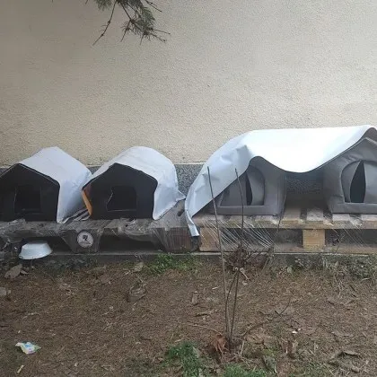 Малък но изключително човечен жест към бездомните животни зарадва млад