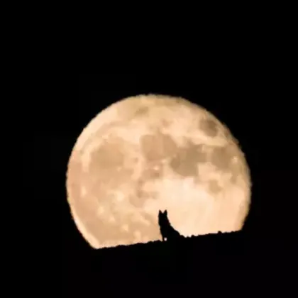 Новата година вече е тук и независимо дали вярвате в