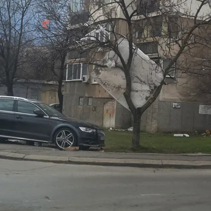 Не само колите са в нарушение: Матрак се озова на дърво в София СНИМКА