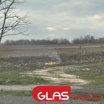 Малък пожар е възникнал този следобед край път в Пловдивско