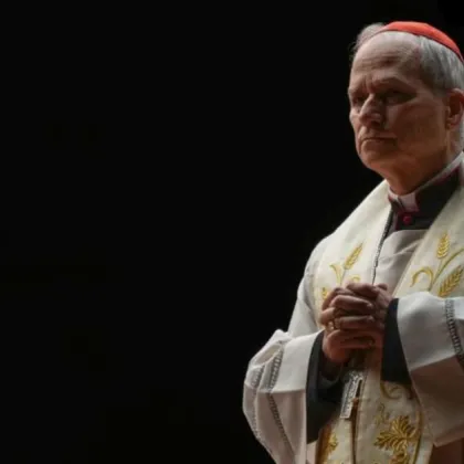 Папа Лъв XIV заяви в неделя че следи с голяма