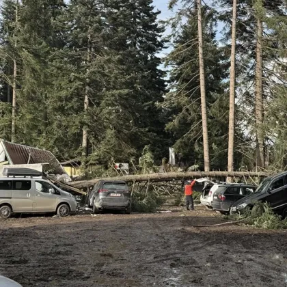 Задействаха BG-ALERT в Боровец заради ураганен вятър СНИМКИ