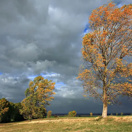 Заради силния вятър: Пътищата към Витоша са затворени