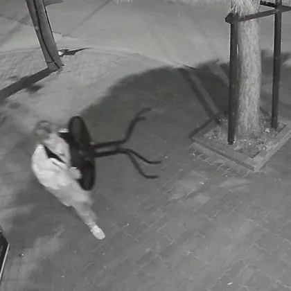 Абсурдна кражба привлече вниманието на жителите на Раковски и предизвика