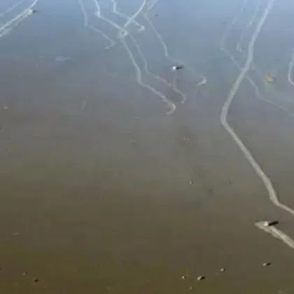 Гигантски камъни в Долината на смъртта се движат сами: записаха &bdquo;миграцията" им на ВИДЕО