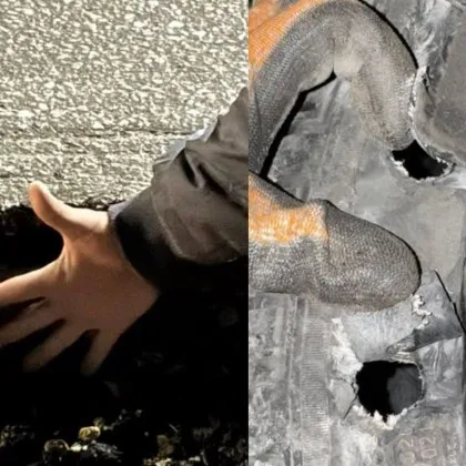 Скъп новогодишен подарък изненада водач по улиците на Пловдив Вен К