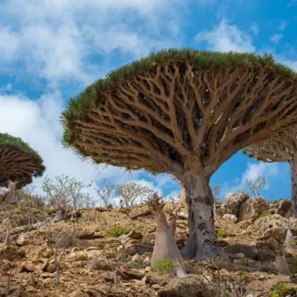 Стотици чуждестранни туристи са блокирани на безлюден остров