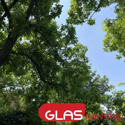 Днес ще бъде предимно облачно и ветровито На много места в