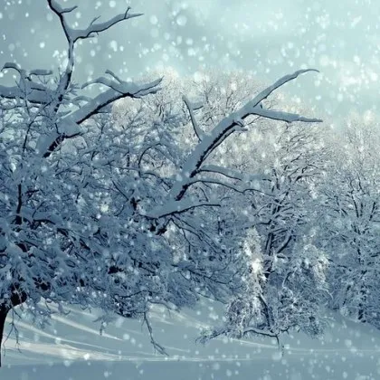 След като температурите паднаха рязко в понеделник петима души загинаха