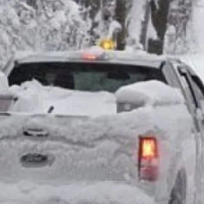 Дървета паднаха на пътища в Разградско, камиони закъсаха