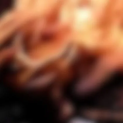 В социалните мрежи се разпространиха кадри които показват как деца