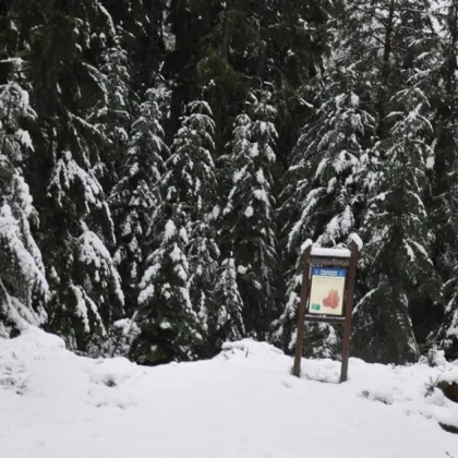Поради бурни ветрове и силни пориви при навлизане в територията