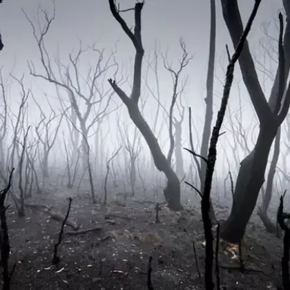 Още през 1960 г група изследователи разработват уравнение с което