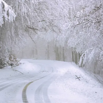 През следващите 48 часа ни очаква цялата &bdquo;палитра" на зимата