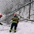 Студена вълна скова Румъния: Спасителни акции, затворени пътища и липса на ток