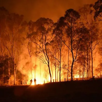 Горски пожари в австралийския щат Виктория унищожиха домове оставиха десетки