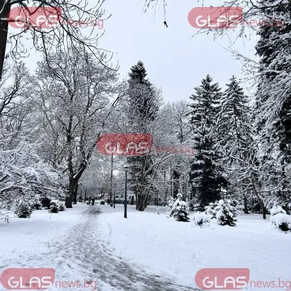 Оранжев и жълт код за опасно време утре. Ето в кои области КАРТА