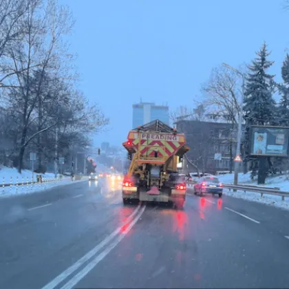 На 52 сигнала за завирявания и паднали клони на дървета