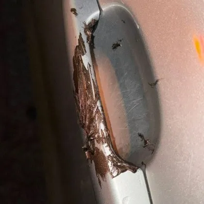 Миризлива и крайно неприятна саморазправа се разигра в столичния квартал