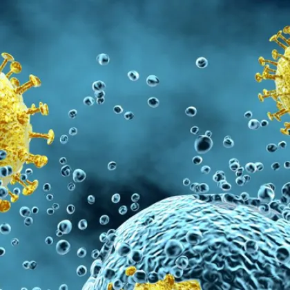 Как и кога да използваме имуностимуланти?