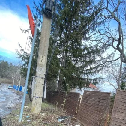 В квартал Горна Баня отново беше извършено тежко престъпление срещу