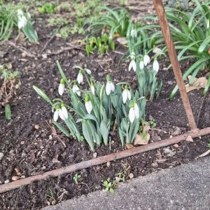 На фона на проблемите със сметоизвозването в столичния квартал Люлин