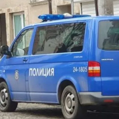 Двама известни представители на криминалния контингент с прякори Бръмбара и