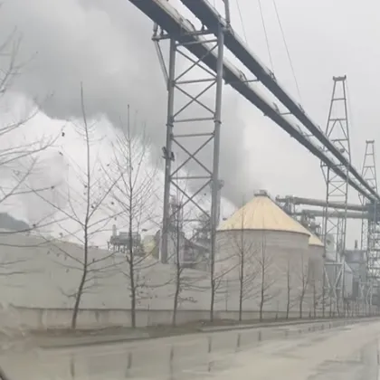 Държавата спря дейността на завод "Кроношпан"