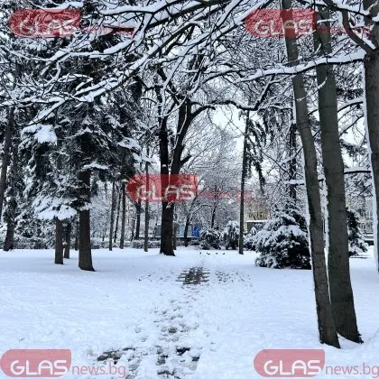 Обявиха жълт код за ниски температури утре. Ето къде ще зъзнем от студ КАРТА