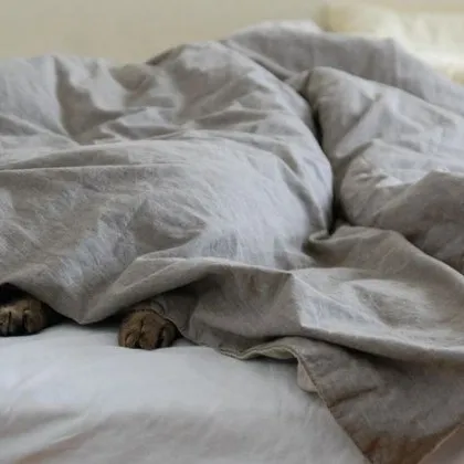 Може да е изкушаващо да събудите тийнейджъра си от страх