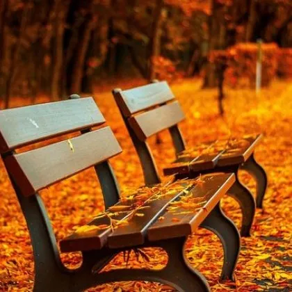 Решението на Общинския съвет в Русе за забрана за употребата