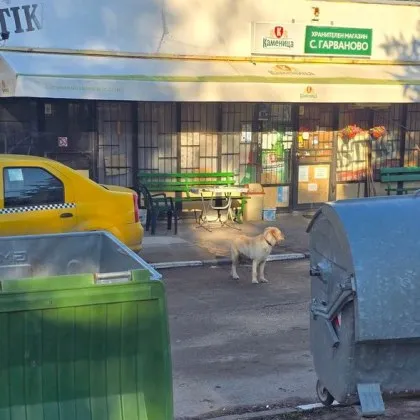 В края на седмицата една тъжна история покруси хиляди а