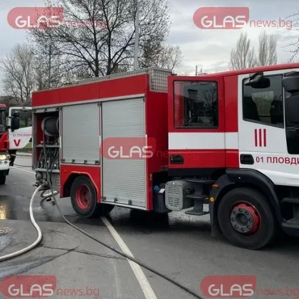 Седем животни изгоряха при пожар в конната база Фанагория във варненския квартал