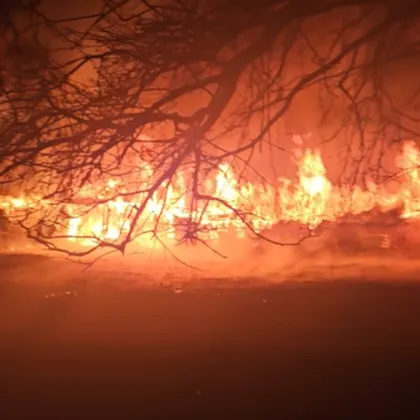 Пожар изпепели конна база, загинаха 7 коня