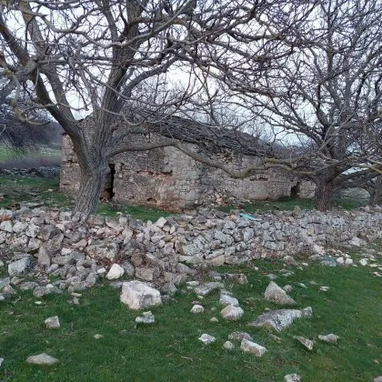 Сред тишината на Северозападна България скрита сред карстови камъни пасища