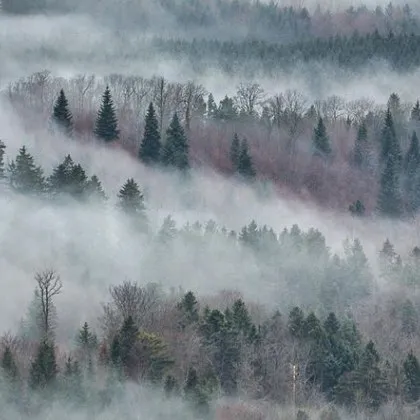 Леденият студ в страната постепенно започва да отстъпва обяви климатологът