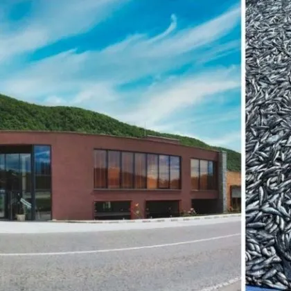 Собственикът на "Бяла река": Рибата ни беше изтровена умишлено