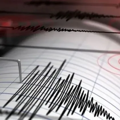 Трус в Средиземно море