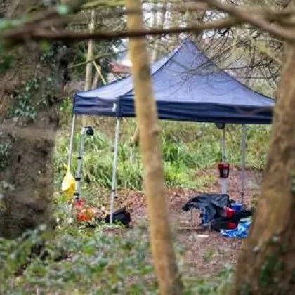 Откриха намушкан тийнейджър в гора, задържаха двама