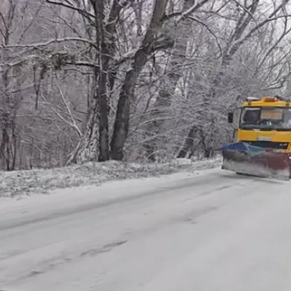Три сигнала за инциденти с коли са получили в МВР Пазарджик