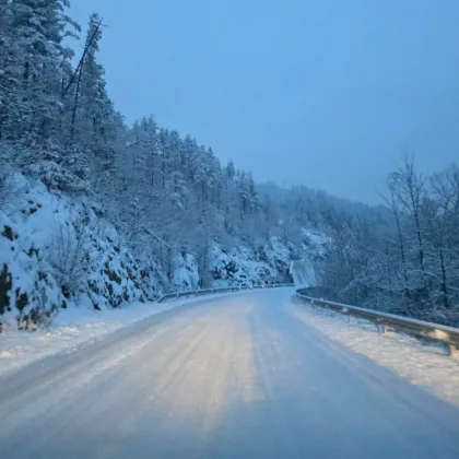 Обилен снеговалеж усложни тази нощ пътната обстановка в Смолянска област Около